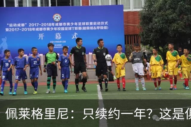佩莱格里尼：只续约一年？这是俱乐部做出的决定，而我接受了