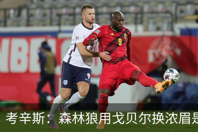 考辛斯：森林狼用戈贝尔换浓眉是双赢 奇才也能借此扶正迪班萨