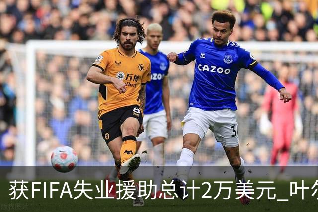 获FIFA失业援助总计2万美元 叶尔杰提成中国球员第一人