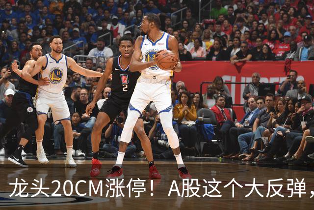 龙头20CM涨停！A股这个大反弹，太提气了！