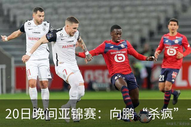 20日晚间亚锦赛：向鹏“杀疯”了，李天阳造惨案，国乒剑指冠军！