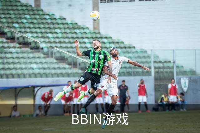 关于BBIN游戏